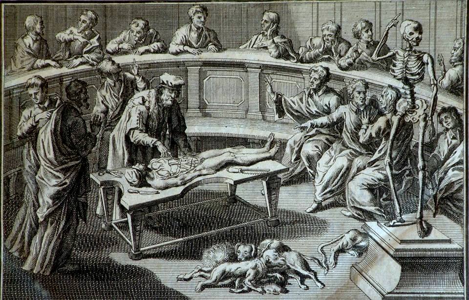 Illustration of a man performing a dissection to a crowd of horrified onlookers. A group of dogs and a skeleton on a pedestal pointing up over its head are also present.