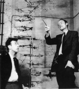 Watson and Crick and their DNA model