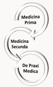 Relationship of the parts in Baglivi’s theory of medicine