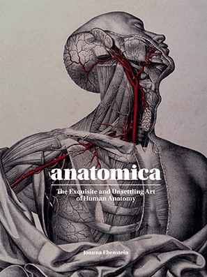 Cover: Anatomica: The Exquisite and Unsettling Art of Human Anatomy