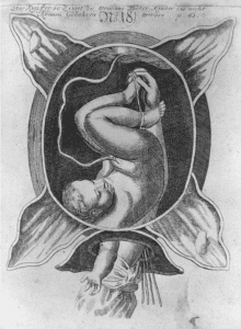 Illustration from The Court Midwife by Justine Siegemund