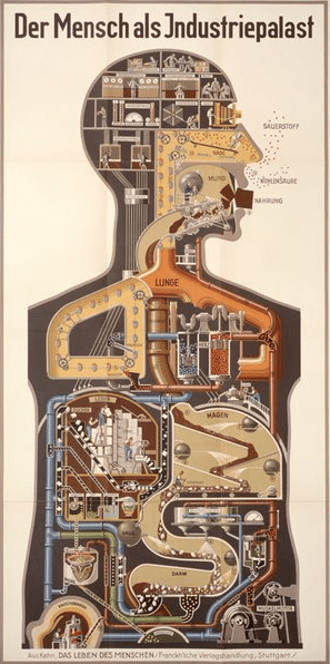 Der Mensch als Industriepalast or Man as Industrial Palace infographic artwork by Fritz Kahn