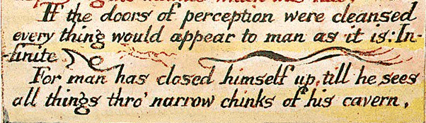 Text reads: "If the doors of perception were cleansed / every thing would appear to man as it is: Infinite. / For man has closed himself up, till he sees / all things thro' narrow chinks of his cavern". Screenshot for article on William Blake