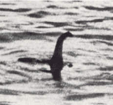 Grainy black and white photo of neck and head-like shape protruding out of water with semi-visible "body" behind it