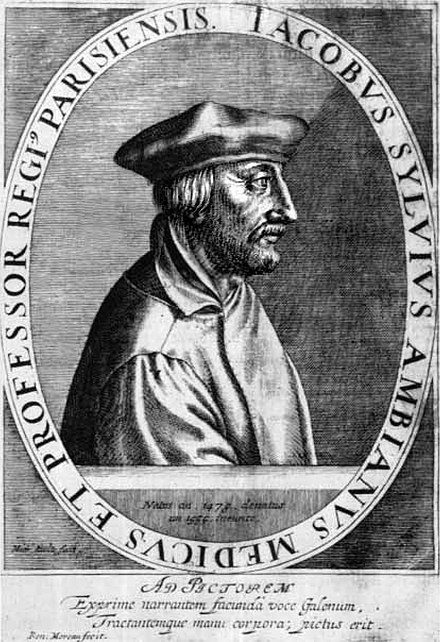 Portrait etching of Jacobus Sylvius (Jacques Dubois), a man in a large hat facing right